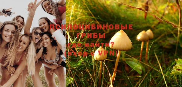 амф Алзамай