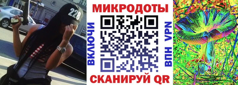 мега как войти  купить наркоту  Каргат  Псилоцибиновые грибы прущие грибы 